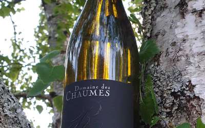 Domaine des Chaumes – Romain Poullet