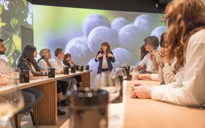 Ecole des vins - Atelier immersif : Accord mets et vins
