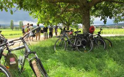 Velovitamine Balades oenologiques