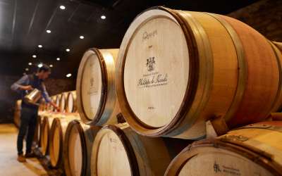 Château Philippe le Hardi - Visite dégustation