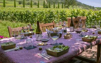 Expérience En Selle pour les terroirs de Santenay & Pique-Nique - Château de La Crée