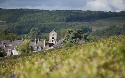 Domaine Ninot (Visite-dégustation - Rully et Mercurey, les secrets de nos terroirs)