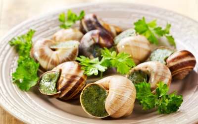 Dégustation chez Hélice - l'escargotier beaunois