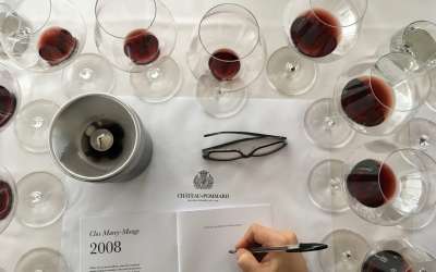 École V - Formations WSET en vins