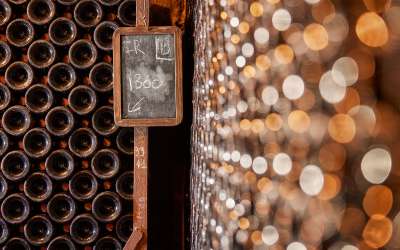 Domaine Besancenot- Visite Dégustation: Plaisir Gourmand 7 vins