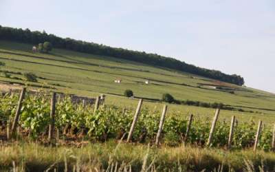 France Intense - Divine Bourgogne Tours