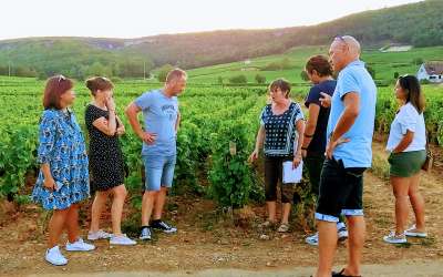 Clos de bourgogne, découverte des Secrets