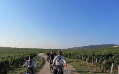 Velovitamine Balades oenologiques