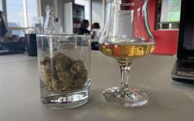 Atelier initiation à la Zythologie (bierologie) - Bière Expérience(s)
