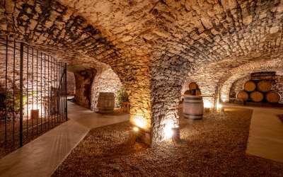 Le Cellier de la Cabiote - Dégustation