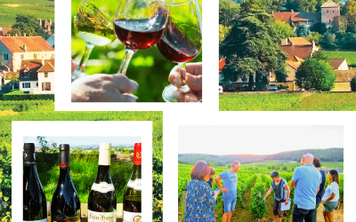 Clos de bourgogne, découverte des Secrets