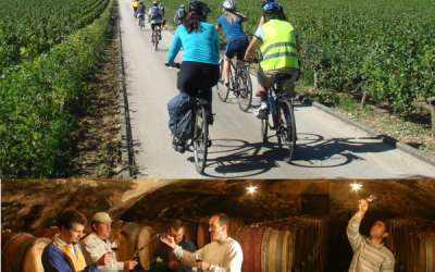 ACTIVE TOURS/ BOURGOGNE EVASION
