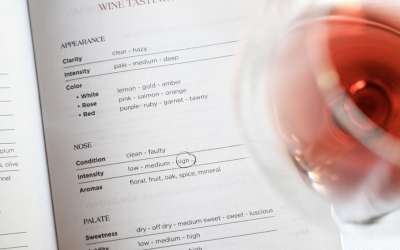 École V - Formations WSET en vins