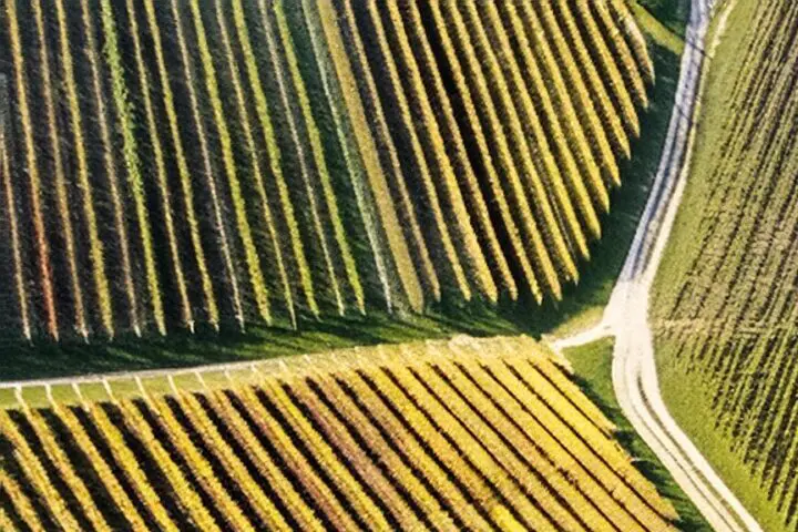 Climats de Bourgogne UNESCO