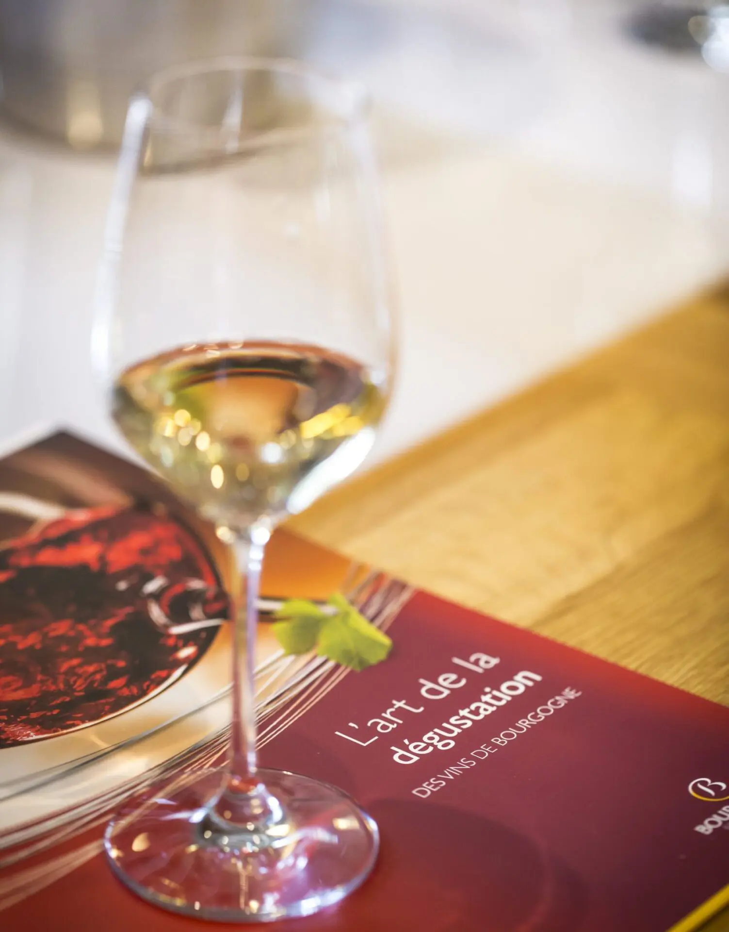 Cours oeonologie Beaune - Dégustation de Vin