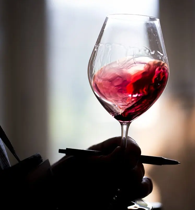 Classification vin bourgogne : appellation village