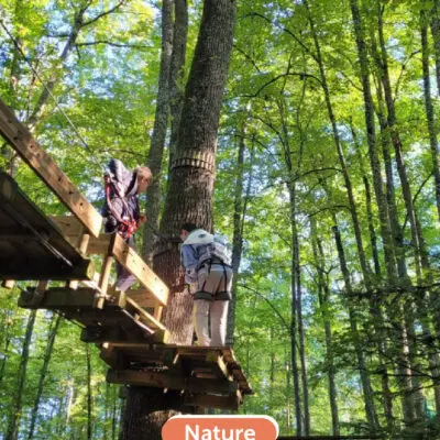 Incontournables 6-100