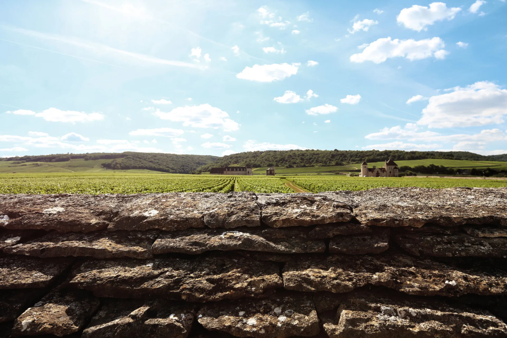 Hautes Côtes de Nuits