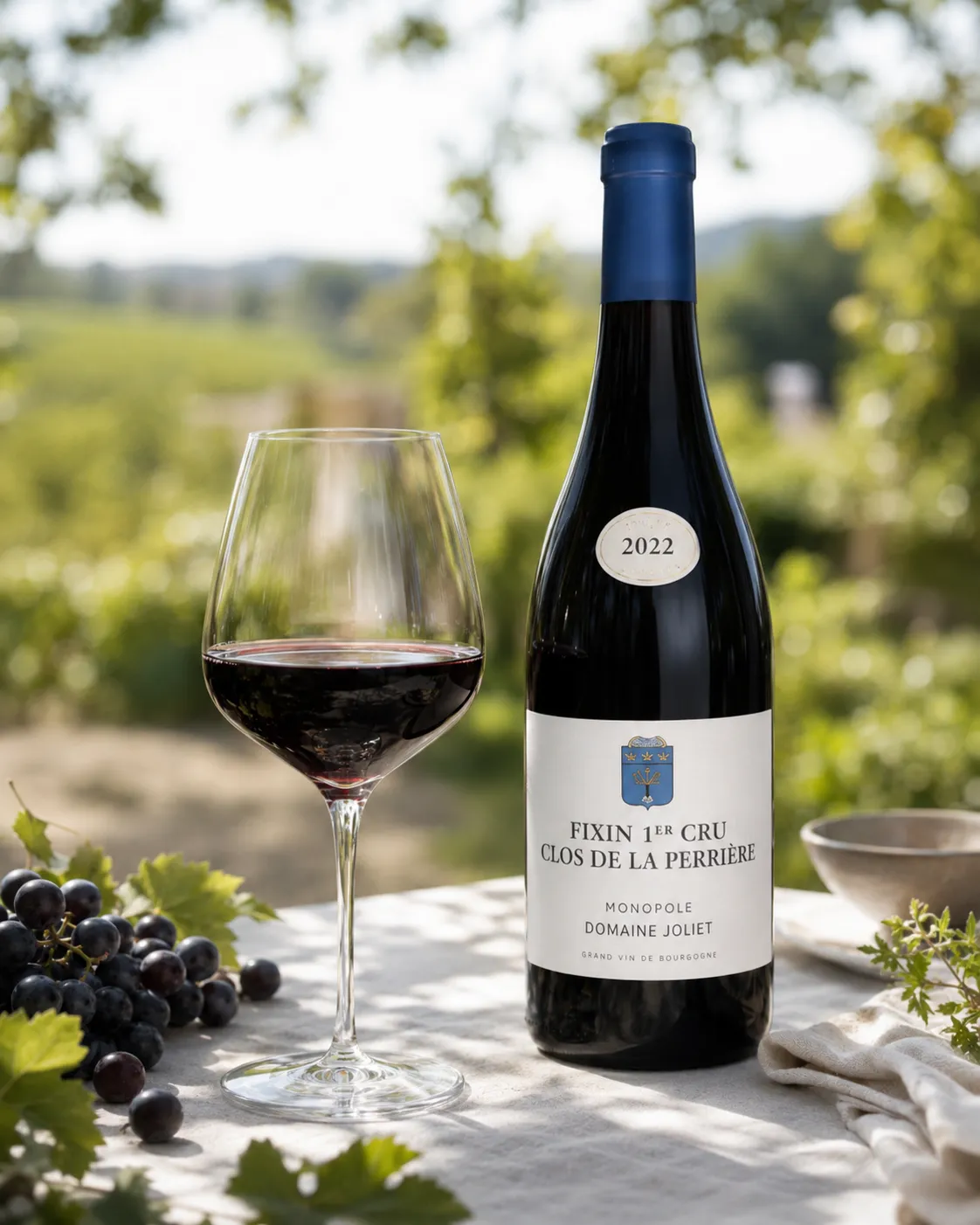 Fixin - vin rouge